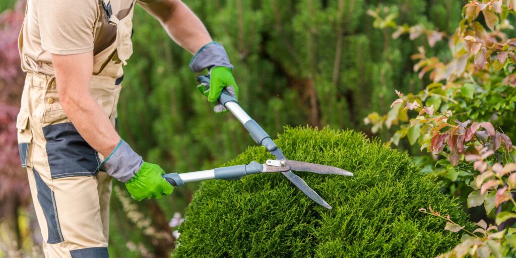 Gartenpflege in Rastatt – Rasen mähen und Hecken schneiden